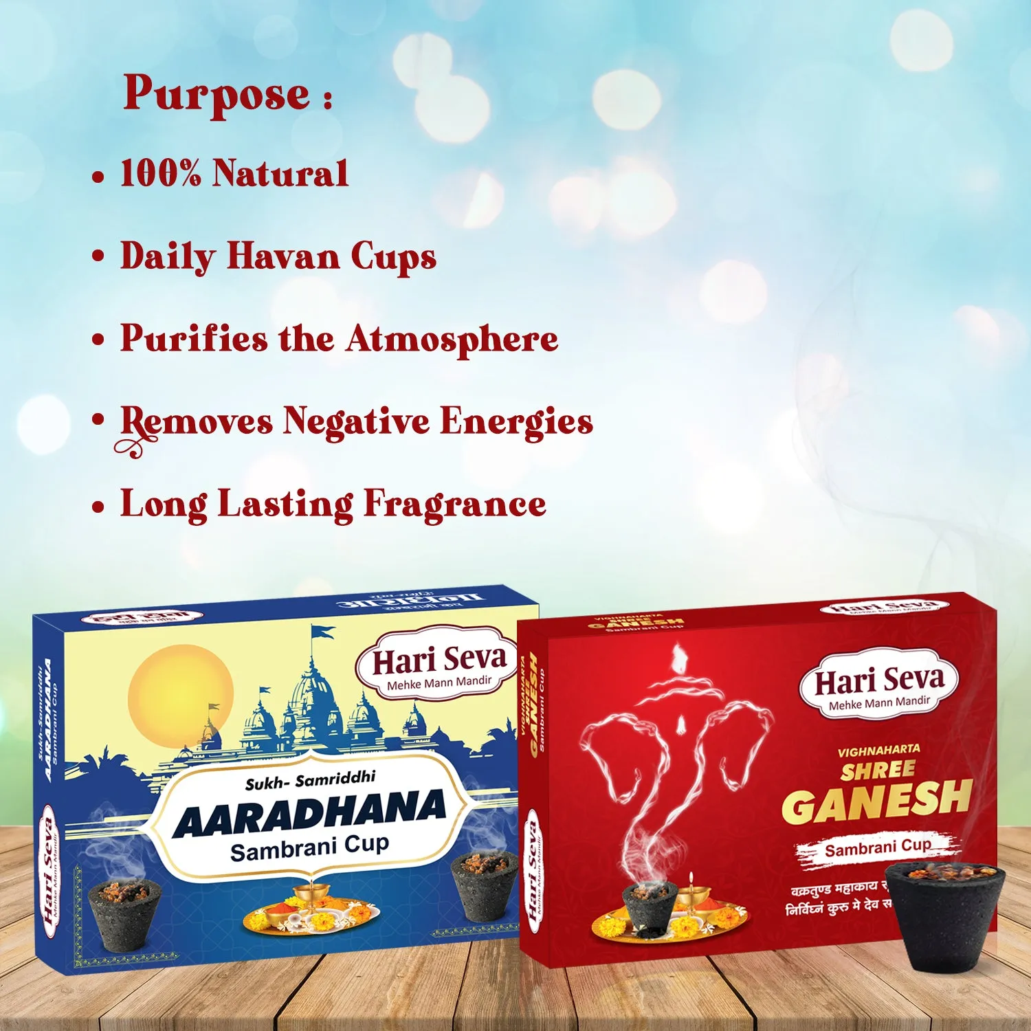 Hari Darshan Aaradhana Shree Ganesh Sambrani Havan Cup