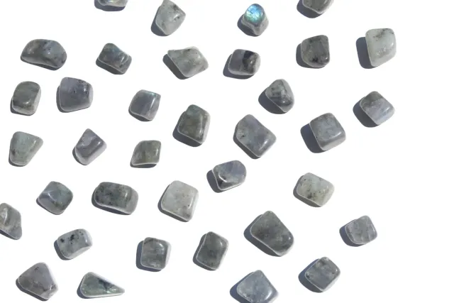 MoshCristais Labradorite pedra rolada pequena intuição