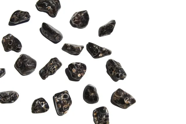 MoshCristais Ágata Turritela pedra rolada Pequena