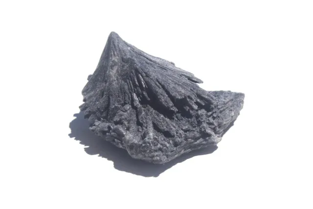 MoshCristais Cianite Negra pedra limpeza
