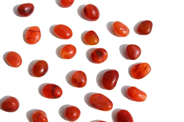 MoshCristais Cornalina pedra rolada pequena coragem