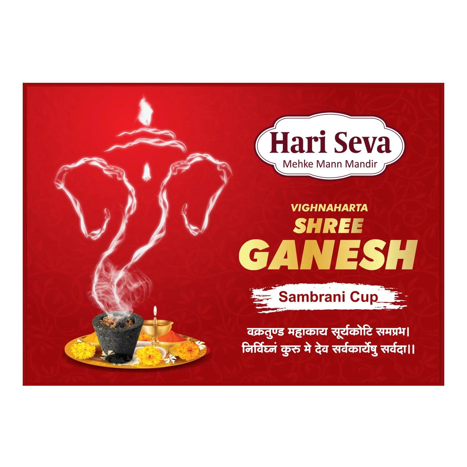 Hari Darshan Aaradhana Shree Ganesh Sambrani Havan Cup