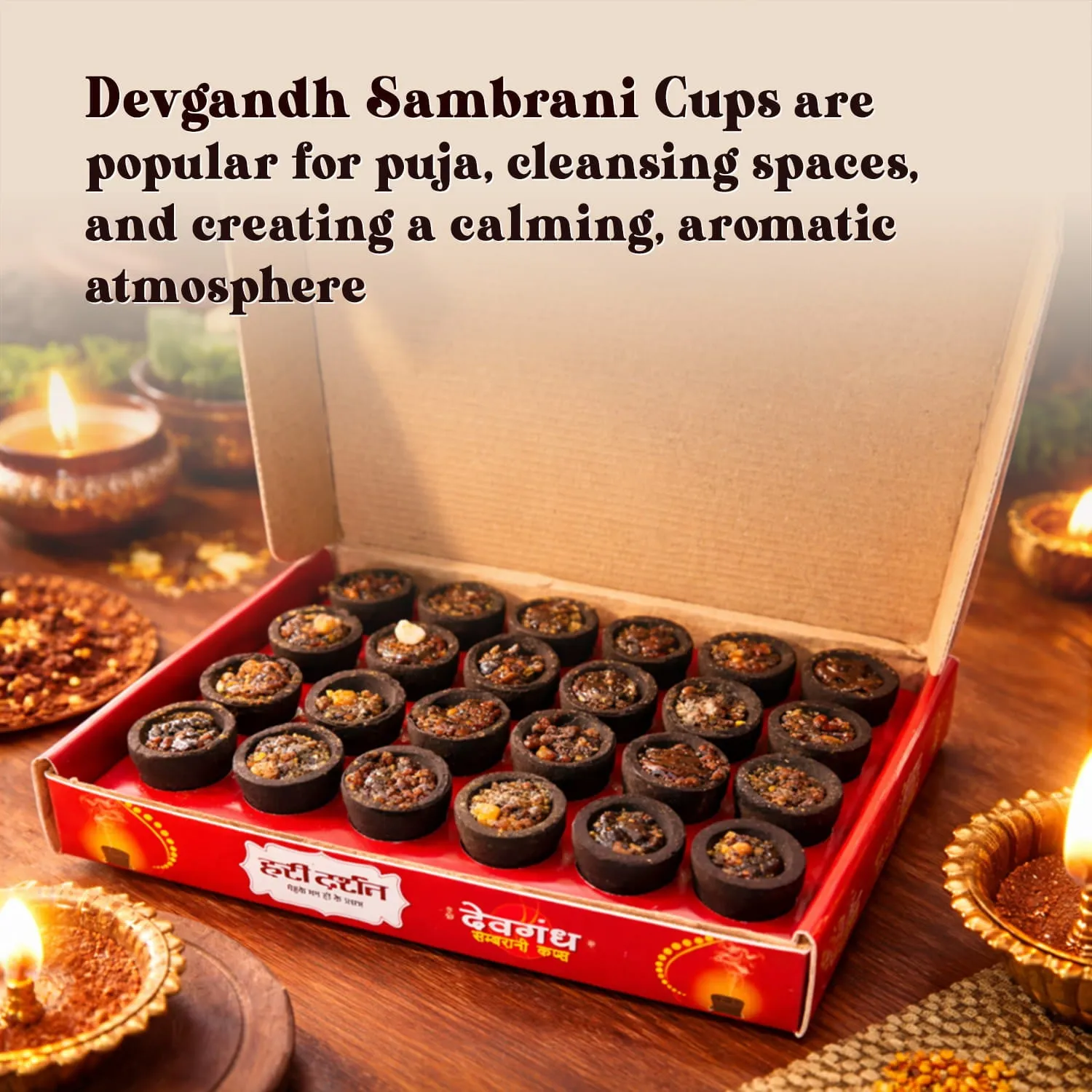 Hari Darshan Devgandh Sambrani Copos Incenso Pack 24